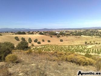 Finca 10.500m2 a 40Km Madrid con PERMISO PARA CONSTRUIR y VISTAS A LA SIERRA.Solo 30.000 Euros