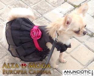 Ropa para Perros. Vestidos Elegantes para Perritas