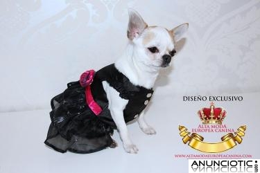 Ropa para Perros con Glamour