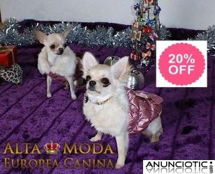 Ropa para Perros, Moda Canina de Lujo con precios bajos