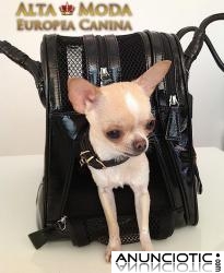 Bolsos para Perros, Bolsos de Lujo para Perros