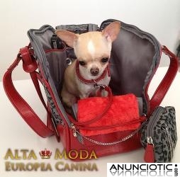 Bolsos para Perros, Bolsos de Lujo para Perros