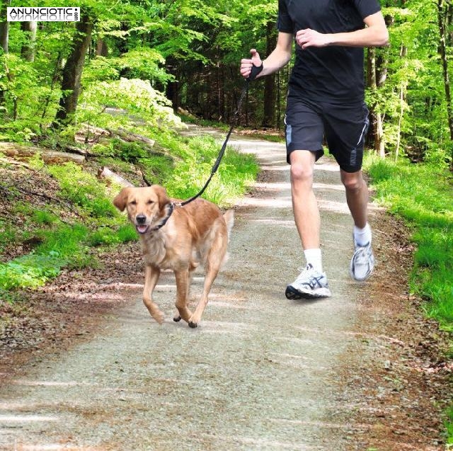 Correa para correr con el perro Trixie nylon