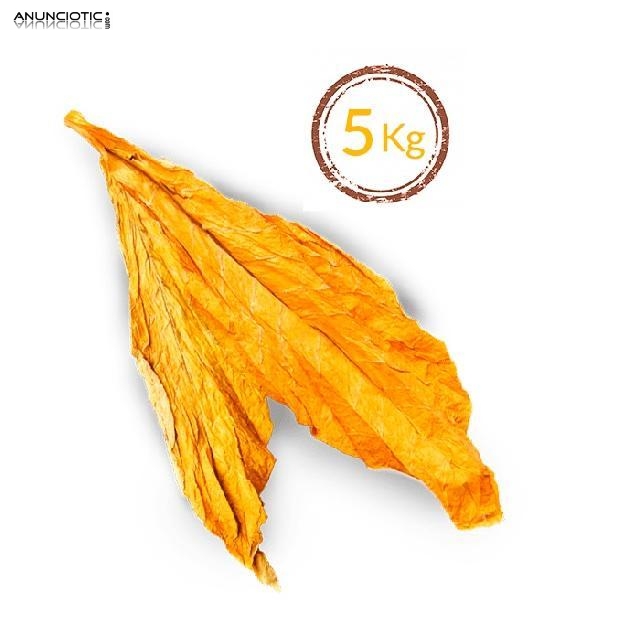 Gold Lemon/Medium/Burley desde12 kg 633438735