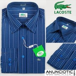  18 s¨®lo para el D&G,LACOSTE de manga larga