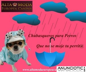 Chubasqueros para Perros, que no se moje tu perrito