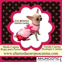 Descubre Ropa para Perros de DiseÃ±o