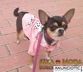 Chubasqueros para Perros, ropa de lluvia para perros, moda canina