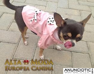 Chubasqueros para Perros, ropa de lluvia para perros, moda canina