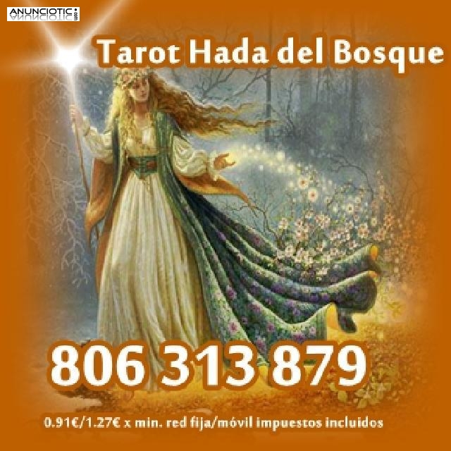 tarot esoterico  barato 806 313 879