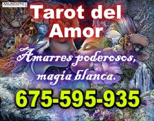 Tarot por teléfono, tarot visa. 