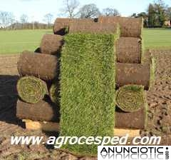 Agrocesped. Césped natural en rollos o tepes para Cáceres