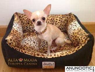 Cama leopardo para perros