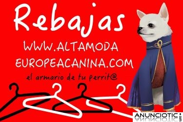 Ropa Perros, aun es invierno