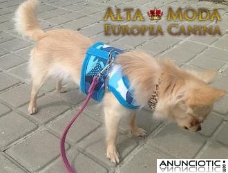 Arnes y Ropa para Perros