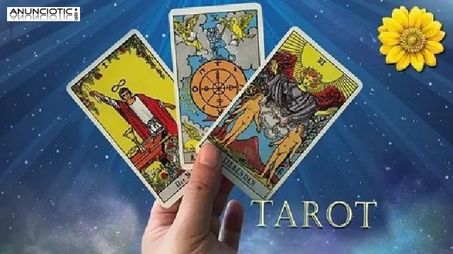 Tarot De Aries Hoy