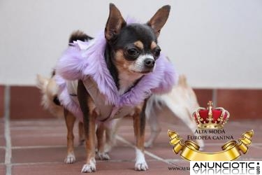 Ropa para Perros. Moda Canina Unisex