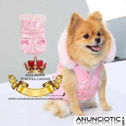 Ropa para Perro, moda canina, jerseys perros