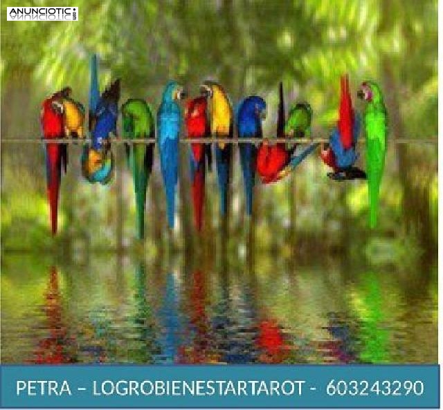 Tarot Economico  bueno  &#8203;&#8203;petra 930135564 logrobienestartarot