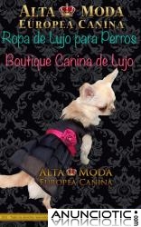 Ropa de Lujo para Perros