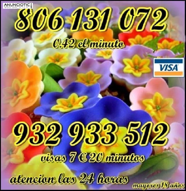 Grandes ofertas de visas 1865 - 1545- 930- 720 minutos 