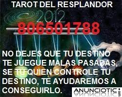 806501788 tarot el resplandor