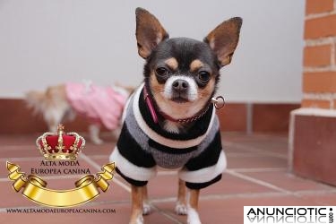 Jerseys para Perros, rebajas