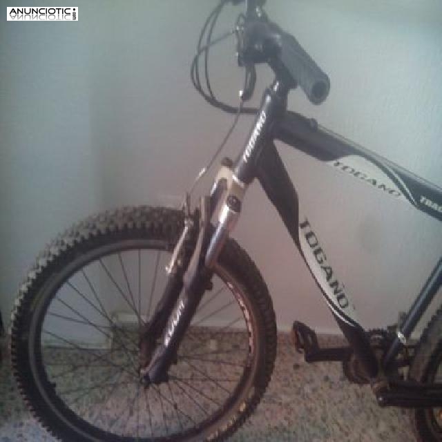 BICICLETA DE MONTAÑA 2