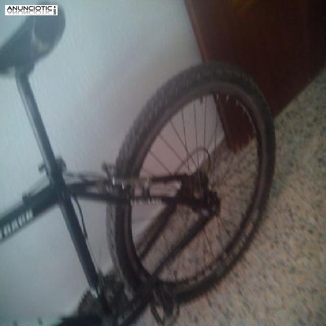 BICICLETA DE MONTAÑA 2