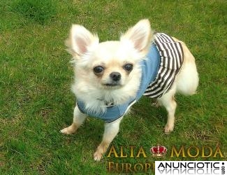 Ropa para Chihuahuas, Vestidos para Perritas Chihuahua