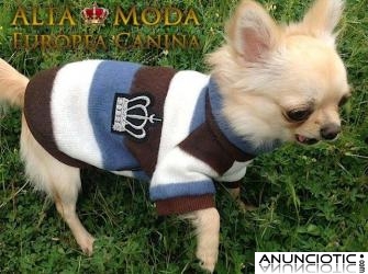 Jerseys de entretiempo para perros, moda canina