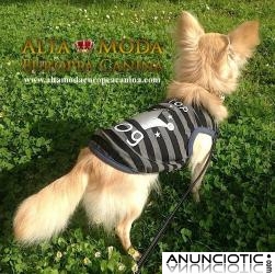 Ropa para Perros Barata