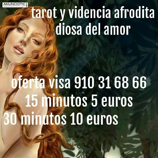 Tarot real solo la verdad 30 minutos 10 euros