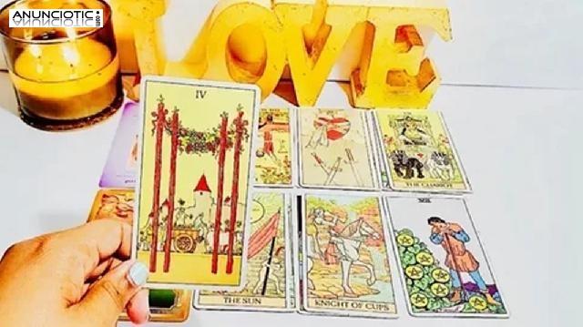 Soñar Con Gatos Bebes, Tarot Del Amor Arcanos Mayores