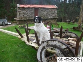 CASA RURAL EN GALICIA-COSTA DA MORTE-PARTICULAR-SE ADMITEN MASCOTAS