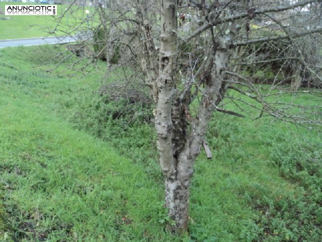 Terreno urbano en culleredo de 397 m2