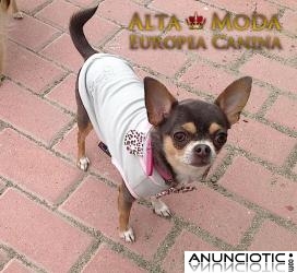 Sudaderas para Perros de Raza PequeÃ±a