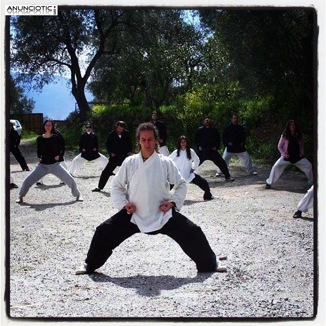 2-6 Julio 2014 Curso de Chi Kung y Tai Chi Chuan en Valle de Lecrín,Granada