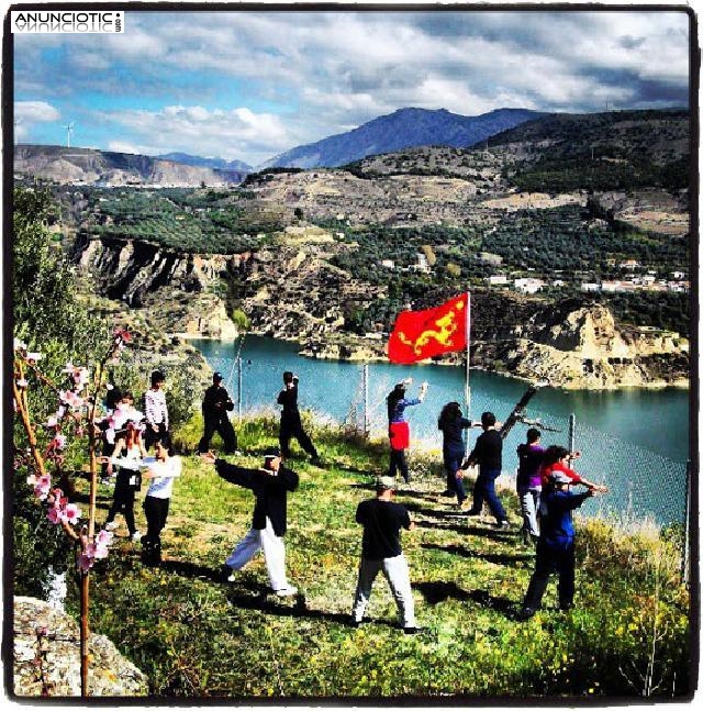 Formacion de Instructores de Chi Kung y/o de Tai Chi : 11 y 12 Oct. 2014 Gr