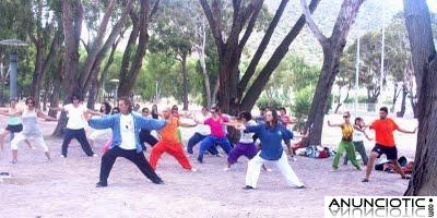 Clases y cursos de TAI CHI CHUAN y de CHI KUNG. Curso 2011-2012þ