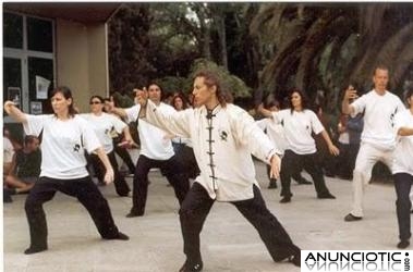 Clases y cursos de TAI CHI CHUAN y de CHI KUNG. Curso 2011-2012þ