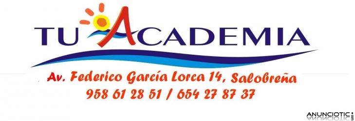 TU ACADEMIA  -  Idiomas & Apoyo Escolar