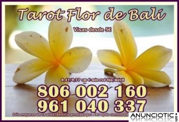 TAROT 806 FLOR DE BALI SOLO 0,41 CM MTO. OFERTA VISA 5  10 MTOS.