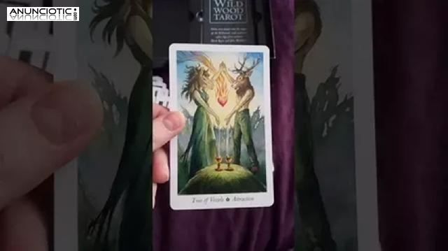 Horóscopos Diarios Virgo Solteros, Tarot Del Amor Euroresidentes