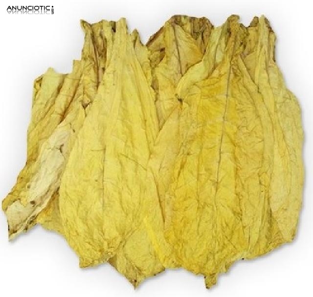 Hoja de Tabaco Virginia Natural Calidad Premium. Precio desde 12  /kilo