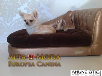 Dormitorio Canino, Camas de Lujo para Perros