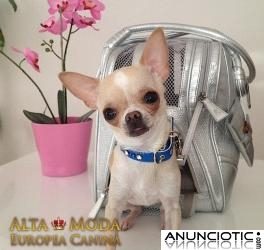 Bolso Plata para Perros