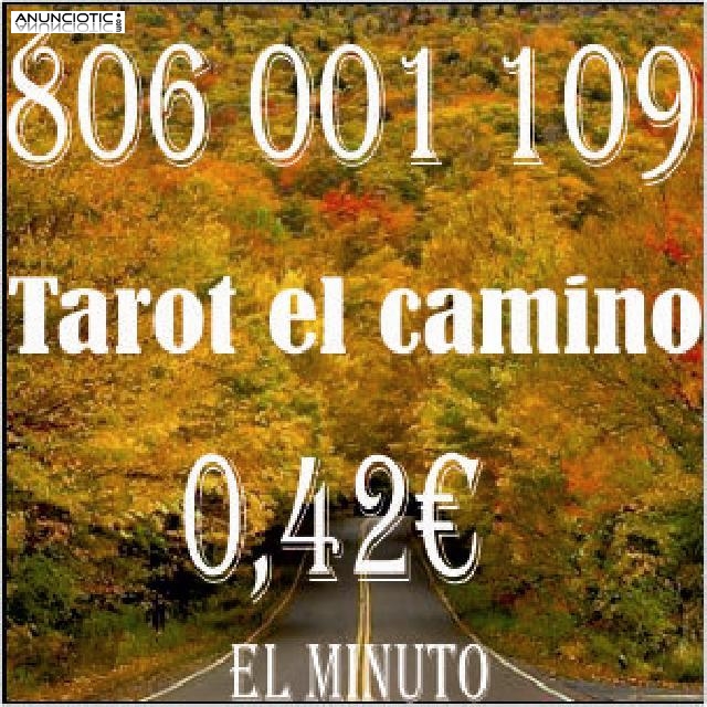 Tarot el camino.