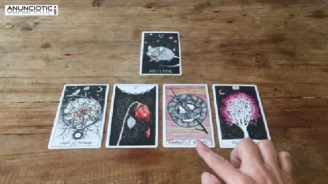 Cartas De Los Signos Del Zodiaco