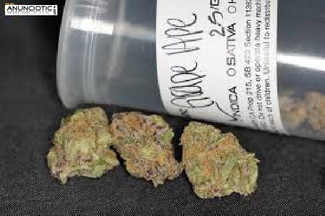 Vendemos y entregamos Skywalker OG pastel de cerezas Blackberry Kush Tren d